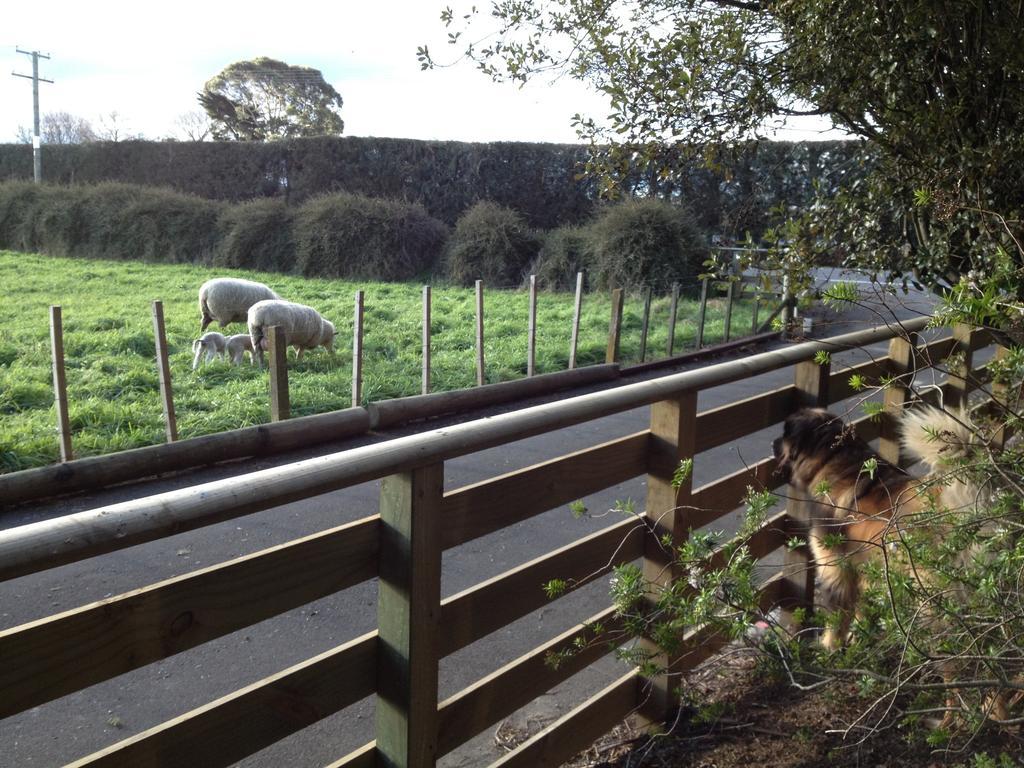 Bluebell Lodge And Cottage Hastings Buitenkant foto