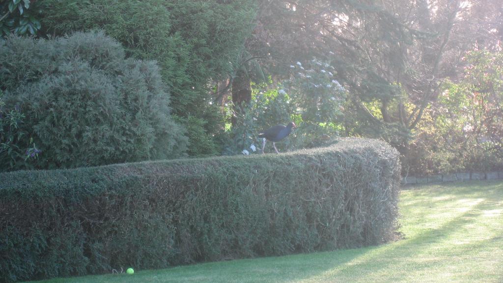 Bluebell Lodge And Cottage Hastings Buitenkant foto