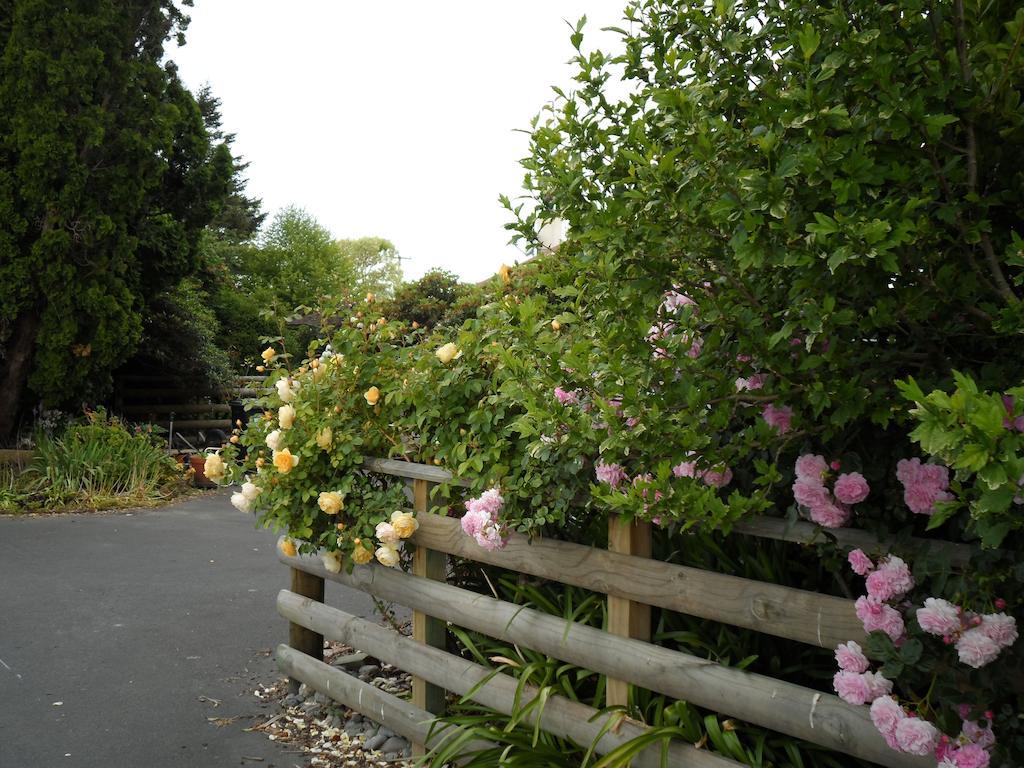 Bluebell Lodge And Cottage Hastings Buitenkant foto