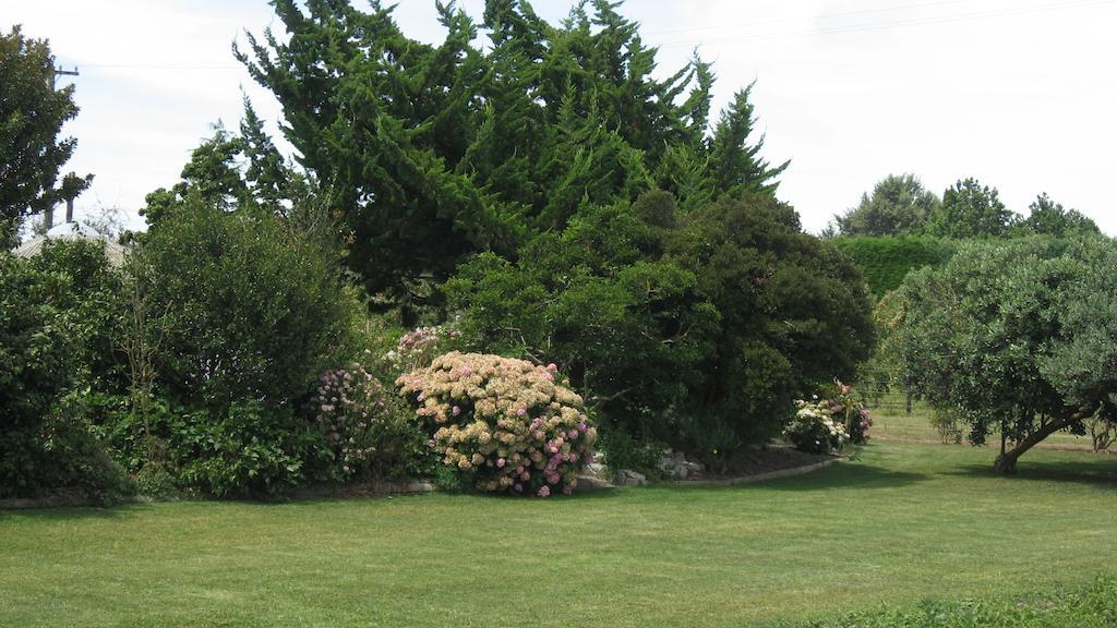 Bluebell Lodge And Cottage Hastings Kamer foto