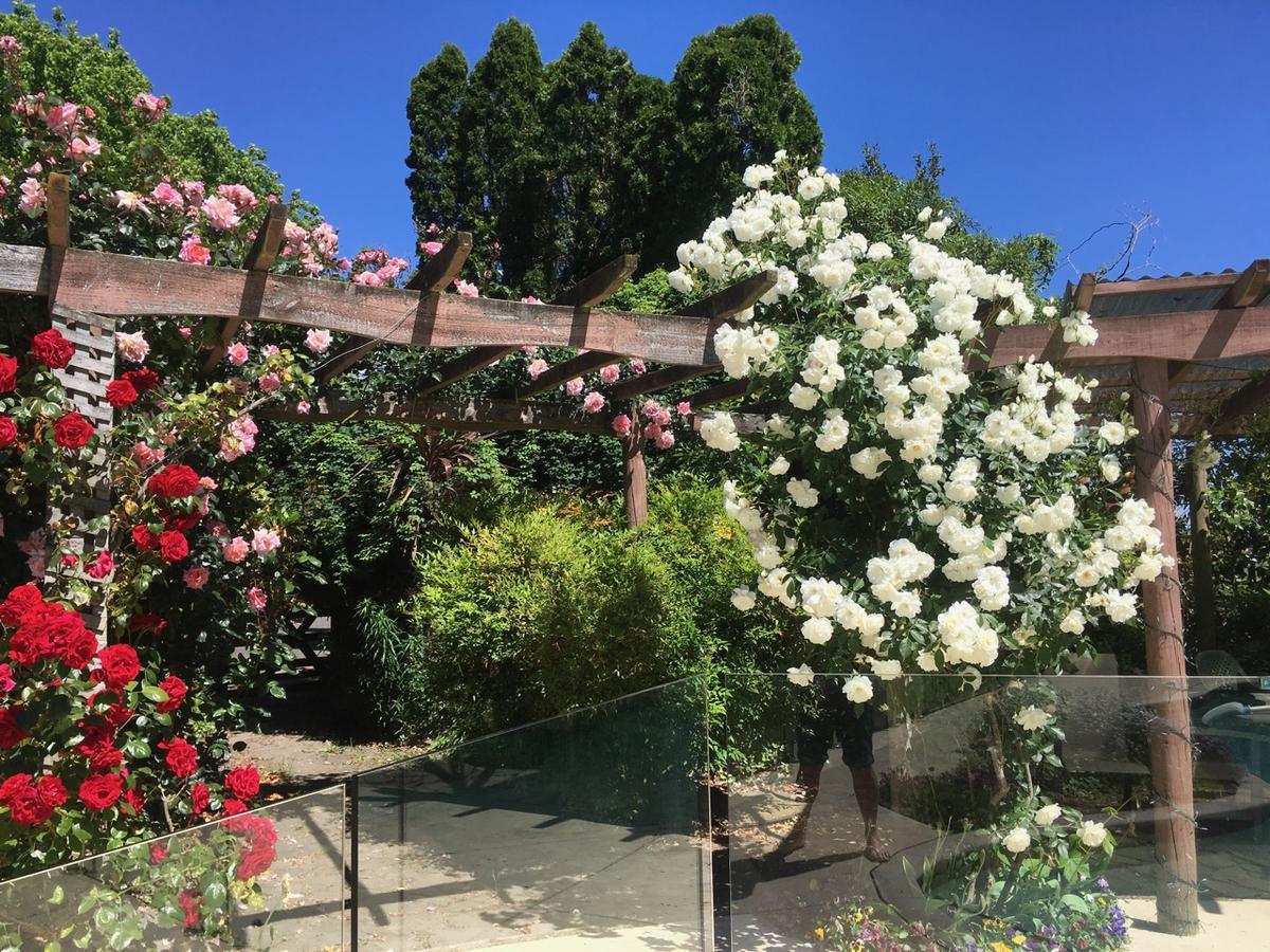 Bluebell Lodge And Cottage Hastings Buitenkant foto